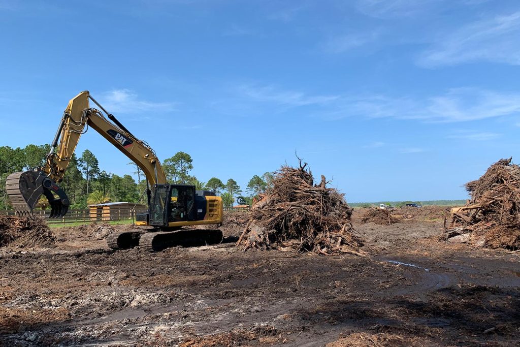 Land Clearing Arborvation